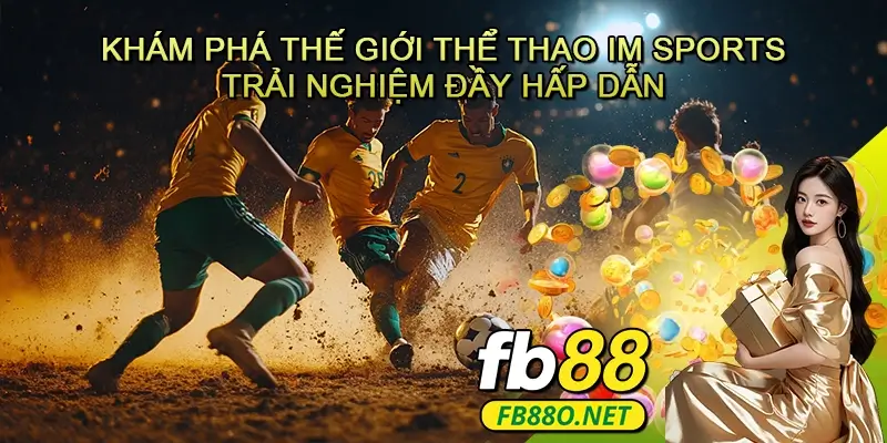 Khám Phá Thế Giới Thể Thao IM Sports – Trải Nghiệm Đầy Hấp Dẫn